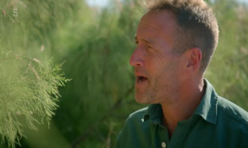 ben fogle and americas lost city 2022 1080p hdtv hevc x265 mkv