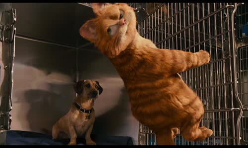 Garfield 2(dvd) mkv