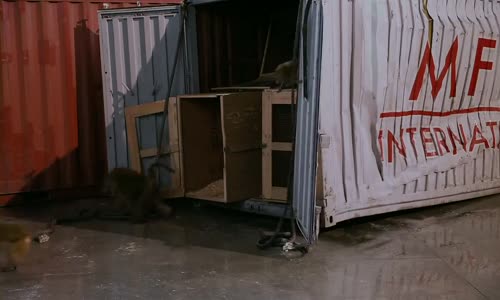Scary Movie 4 CZ Dabing 720p mkv