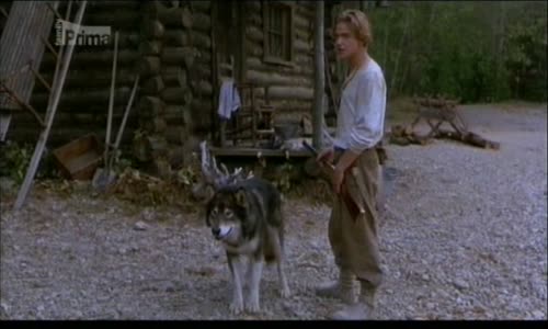 Bílý tesák 2-Mýtus bílého vlka (1994) cz dabing avi