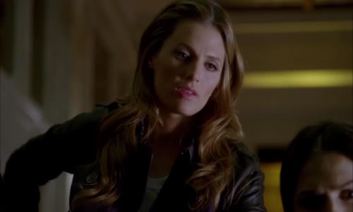 Castle na zabití S05E19 CZ Dabing avi