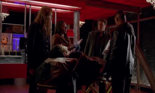 Castle na zabití S05E12 CZ Dabing avi