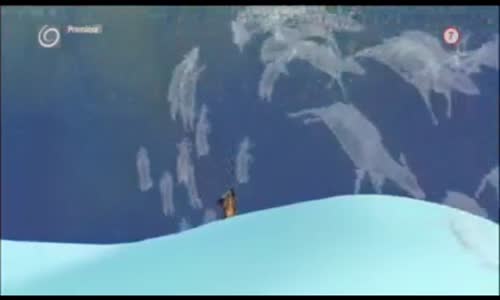 Rozpravky Pocahontas 2 Cesta do Nového sveta 1998 SK dabing  avi