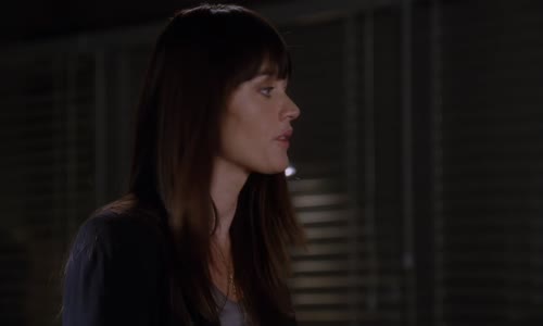Mentalista - The Mentalist S03e12 Bloodhounds 1080p HEVC CZ dabing mkv