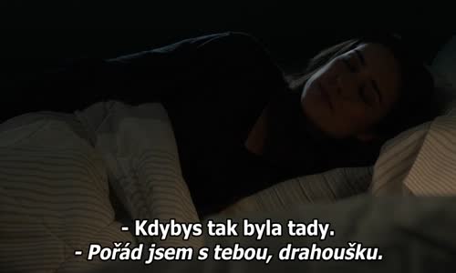 The Blacklist S08E14 CZtit V OBRAZE avi