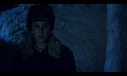 Stranger Things S02E03 1080p CZ-EN 5 1 MIKI mkv