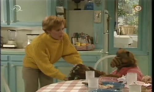 Alf S04E20 SKdab avi