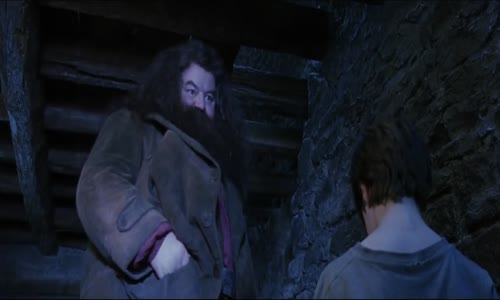 Harry Potter a Kameň Mudrcov (2001) Rozšírená Verzia SK Dabing!!! mkv