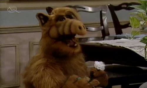 Alf S01E19 SKdab mp4