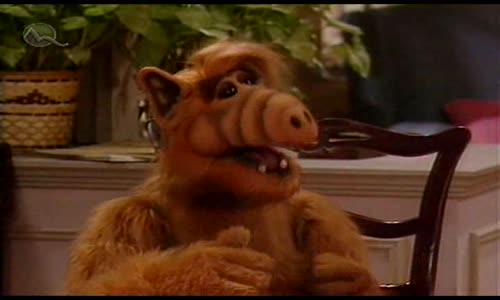 Alf S01E22 SKdab mp4