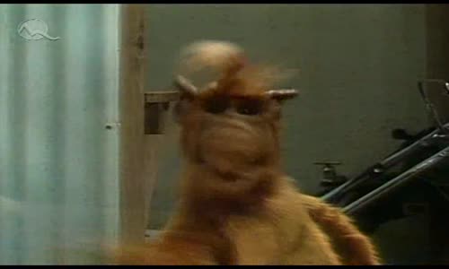 Alf S03E06 SKdab mp4