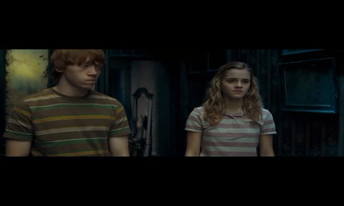 Harry Potter a Fénixův řád (2007)CZdab avi