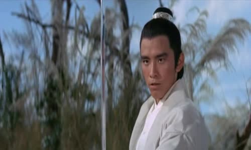 Shin-du-bei-dao--kung-fu-1971-cz-ti tulky avi