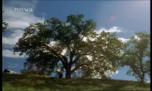 NCIS 02x18 CZdab avi