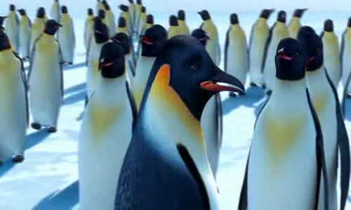 Happy Feet 1 2006 Cz avi