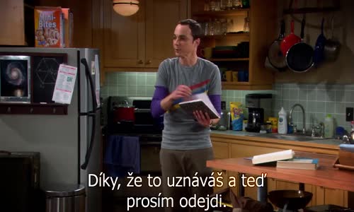 The Big Bang Theory S01E11 CZtit V OBRAZE BluRay 720p avi