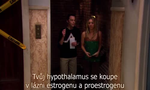 The Big Bang Theory S02E09 CZtit V OBRAZE BluRay 720p avi