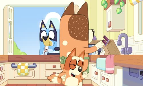 Bluey S03E12 1080p WEB h264-SALT mkv