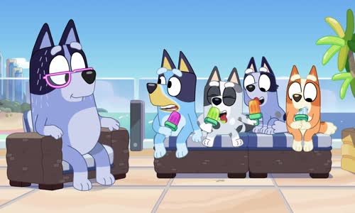 Bluey S02E11 1080p WEB h264-SALT mkv