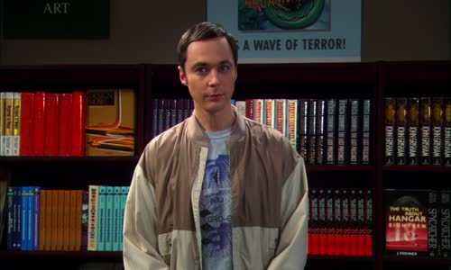 The Big Bang Theory S04E20 BDRip x265-ION265 mp4