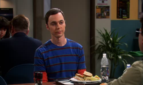 The Big Bang Theory S05E01 BDRip x265-ION265 mp4