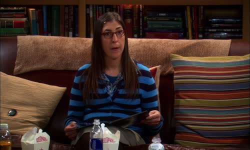 The Big Bang Theory S05E03 BDRip x265-ION265 mp4