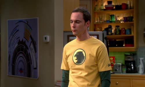 The Big Bang Theory S07E08 BDRip x265-ION265 mp4