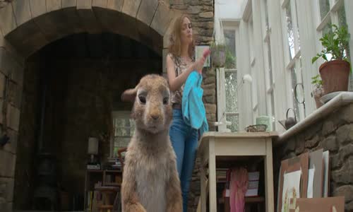 Králik Peter (Peter Rabbit) (2018) CZ SK avi