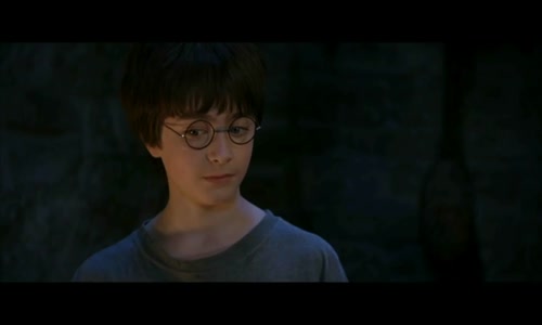 Harry Potter 1 - Kameň mudrcov (Harry Potter and the Sorcerer's Stone) (2001) SK avi