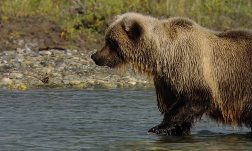 Americas National Parks Classic S01E04 Gates of the Arctic 720p DSNP WEB-DL DDP5 1 H 264 CZ titulky mkv