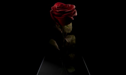 Red Rose S01E01 WEBRip x264-ION10 mp4