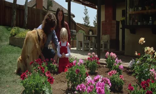 Poltergeist 1  1982 AB 1080p  Cz dab mkv