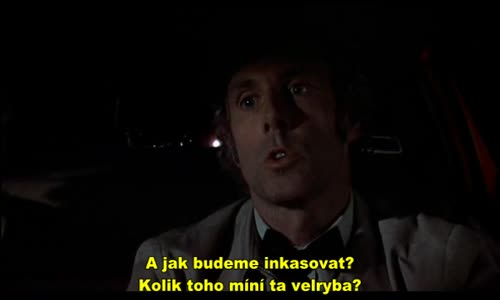 Rodinné spiknutí-(1976)cz tit avi