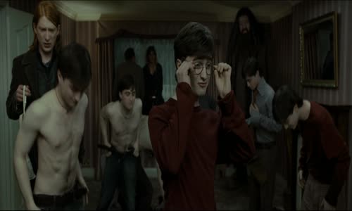 Harry Potter a Dary smrti - 1  časť _ Harry Potter and the Deathly Hallows_ Part 1 (2010) mkv