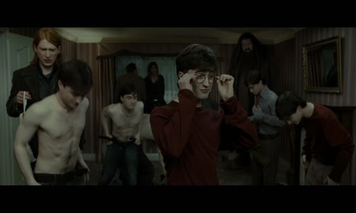 Harry Potter and the Deathly Hallows   Part 1 2010 1080p Blu ray Remux AVC DTS HD MA 5 1   KRaLiMaRKo   Harry Potter a Relikvie smrti   část 1   1080p   ultimátní edice + CZ titulky mkv