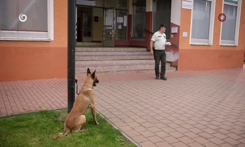 Hranica S02E15 seriál SR 2022 mp4