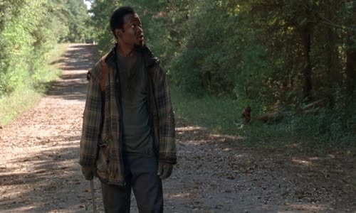 The Walking Dead_S04E13_Alone mkv