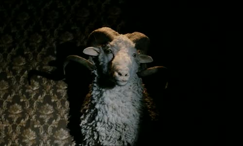 2006 - Cerna ovce avi