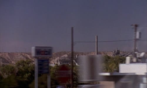 Srdce je zrádná děvka-(2004)cz avi
