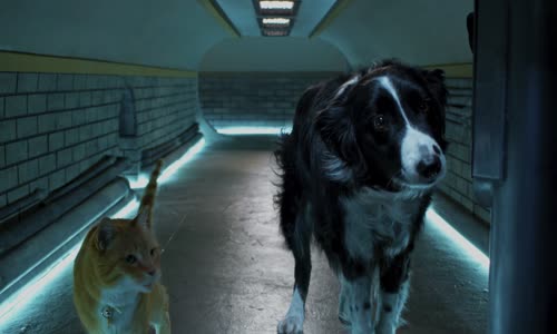 Mačky a psy 3 - Labky na to!, Jako kočky a psi 3 (Cats & Dogs - 3 Paws Unite) (2020) SK, ENG mkv