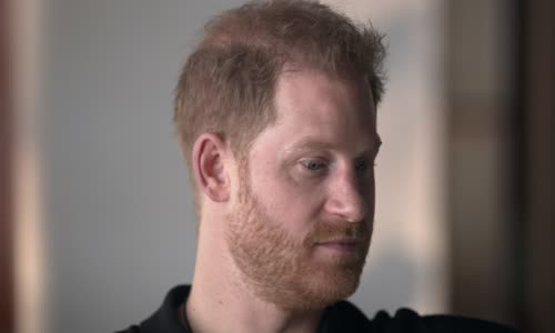 Harry a Meghan Harry S01E01 CZ 1080p mkv