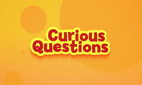 Curious Questions S01e01 Why Do Spiders Build Webs 1080p Pcok Web-Dl Aac2 0 H 264-Silk mkv