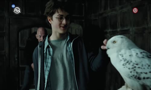 Harry Potter a väzeň z Azkabanu SK mkv