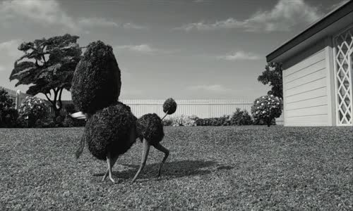 Frankenweenie-Domácí mazlíček-(2012)cz avi