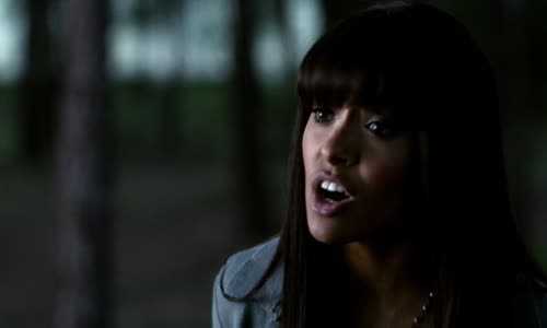 The Vampire Diaries_S04E22_The Vampire Diaries_ Season 4 Episode 22 The Walking Dead mkv