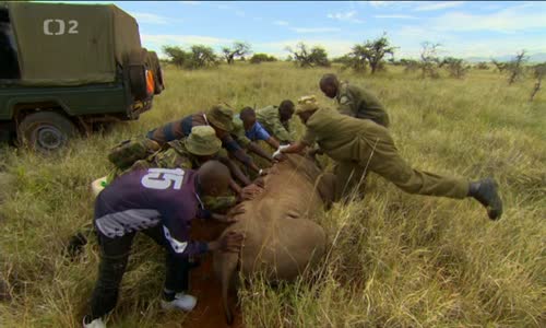 Dokumenty - Zazracna Planeta - Afrika - 06 - Budoucnost plna nadeji mpg