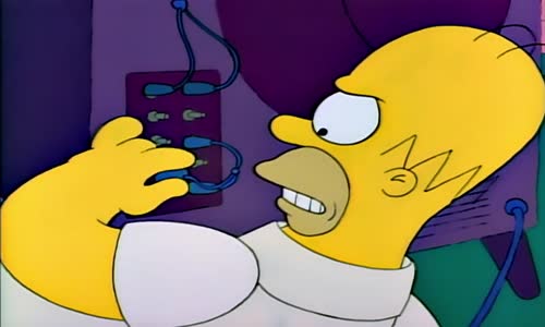 Simpsonovi S02E12 Takovi Jsme Byli WEBRip x264 CZ mkv