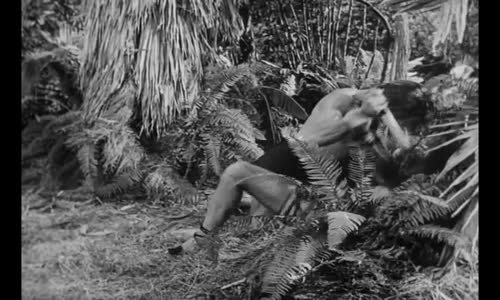 Tarzan and the Slave Girl=Tarzan a otrokyně=1950=Cz tit mp4