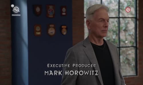 NCIS S17E16 SK avi
