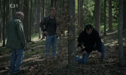 Docent S01E01 Lesní vražda mkv